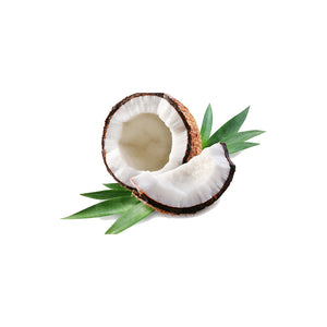 Coconut